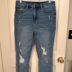 Judy Blue Distressed Skinny Jeans